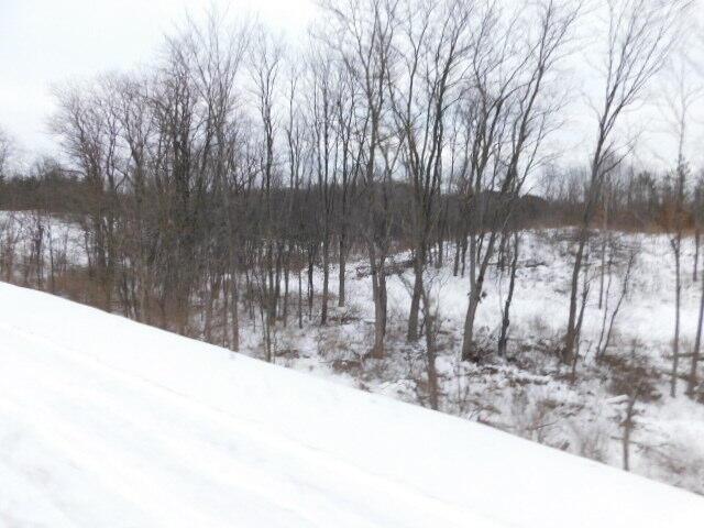 11201 Marilla Road, Unit 1 Copemish, MI 49625 - Photo 3 of 8 DSCN0684
