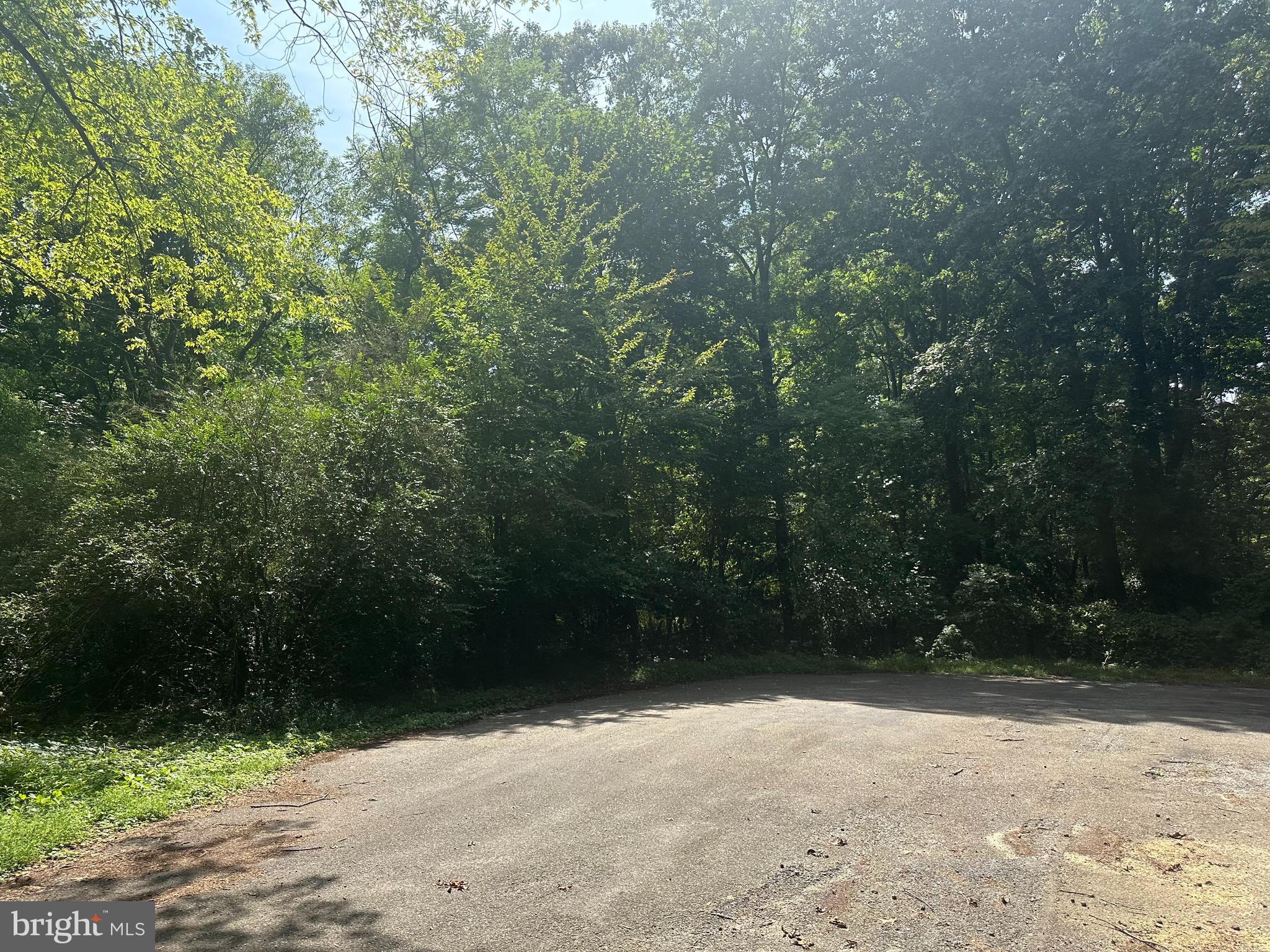 25619 West Hill Road Worton, MD 21678 - Photo 2 of 8 a view of outdoor space and yard