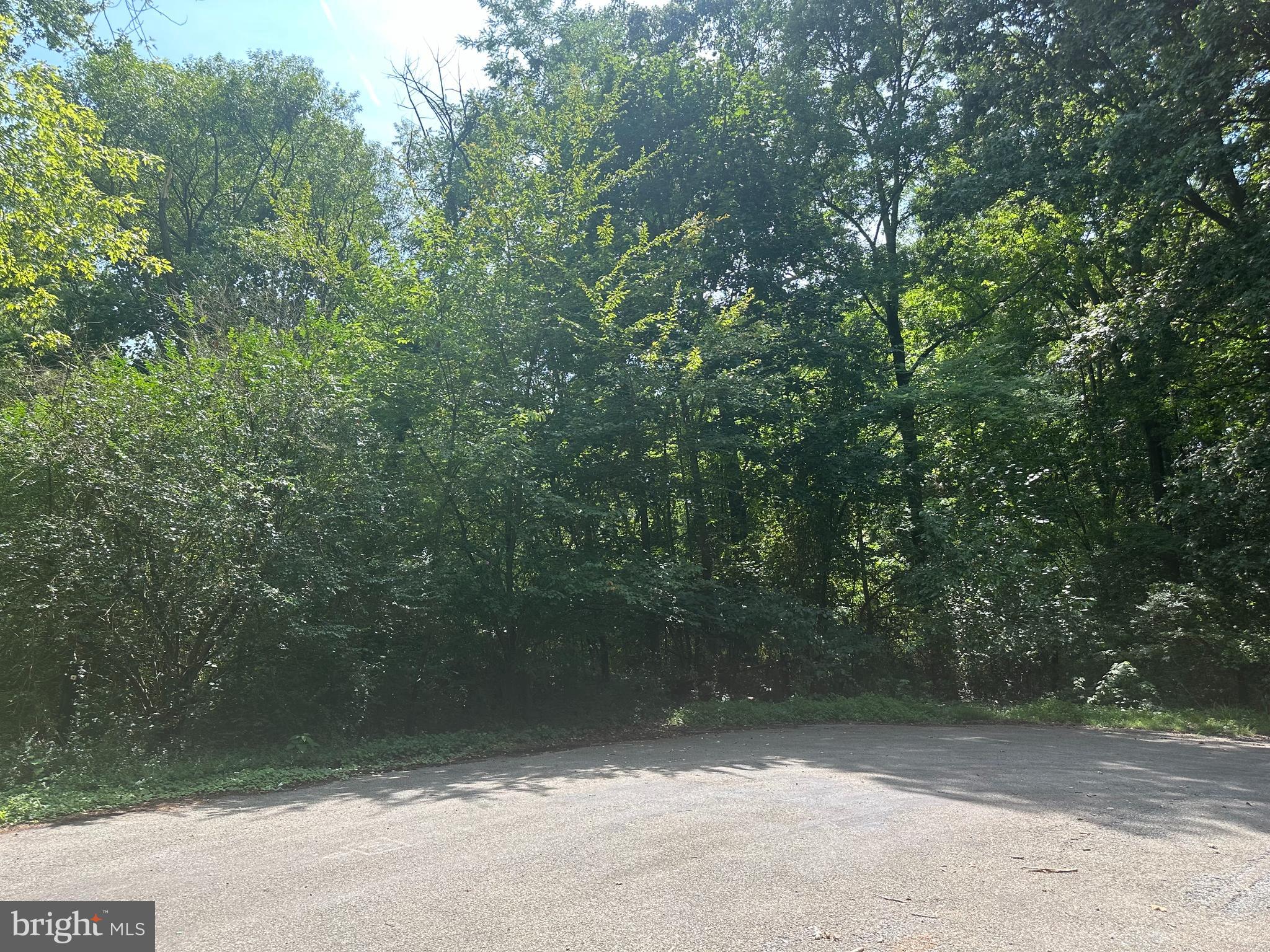 25619 West Hill Road Worton, MD 21678 - Photo 3 of 8 a view of backyard with green space