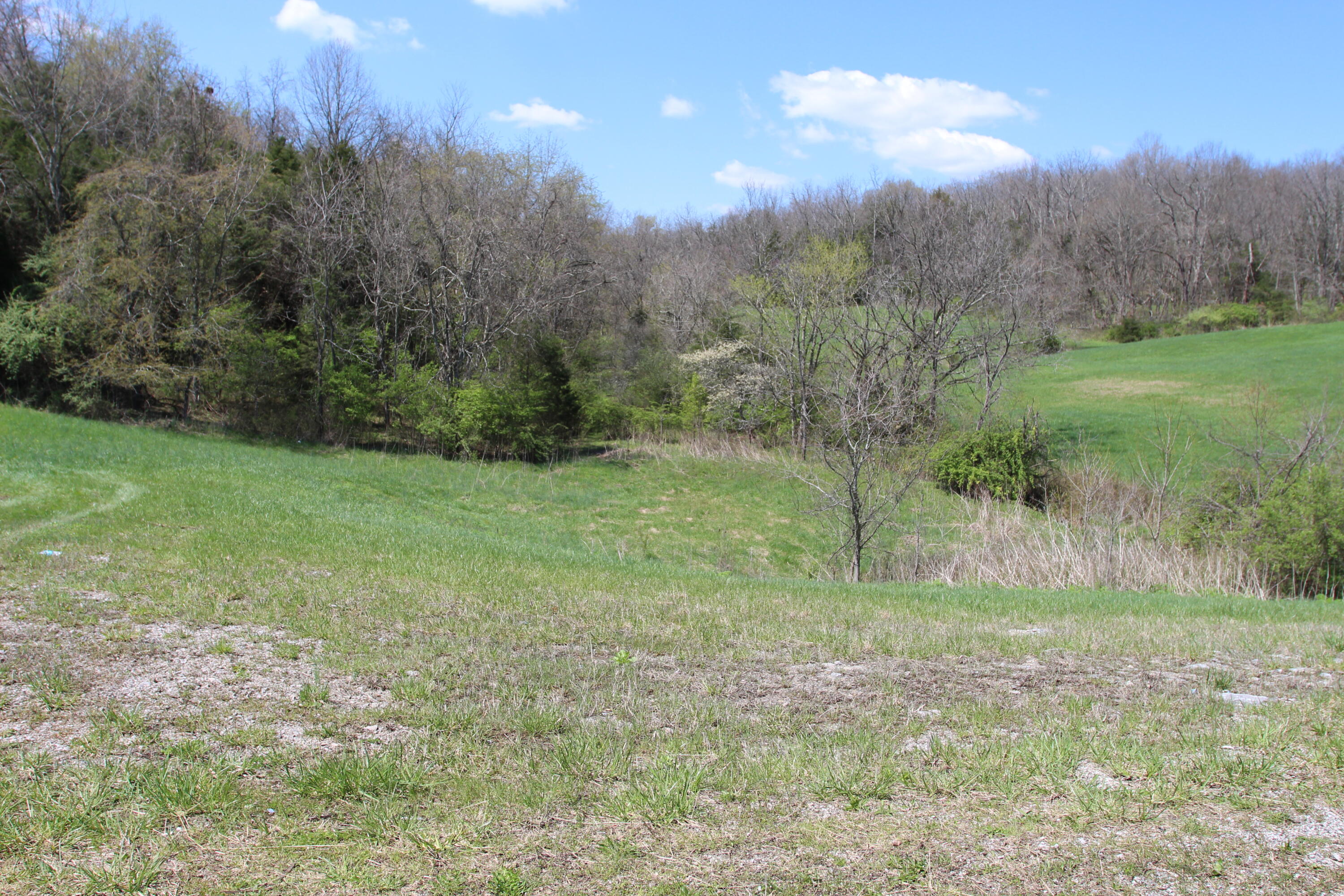 127 Owenton Road Owenton, KY 40359 - Photo 27 of 33 1- land owen county (26)