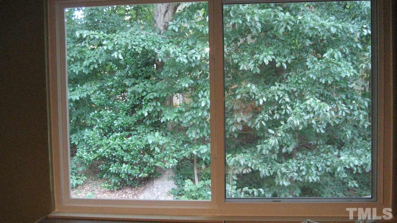 7737 Ohmann Court Raleigh, NC 27615 - Photo 15 of 19 a view of a garden from a window