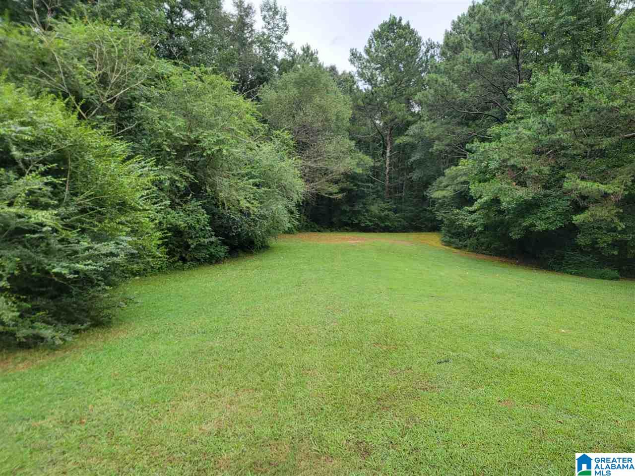 250 Pinehill Road Pell City, AL 35125 - Photo 3 of 15