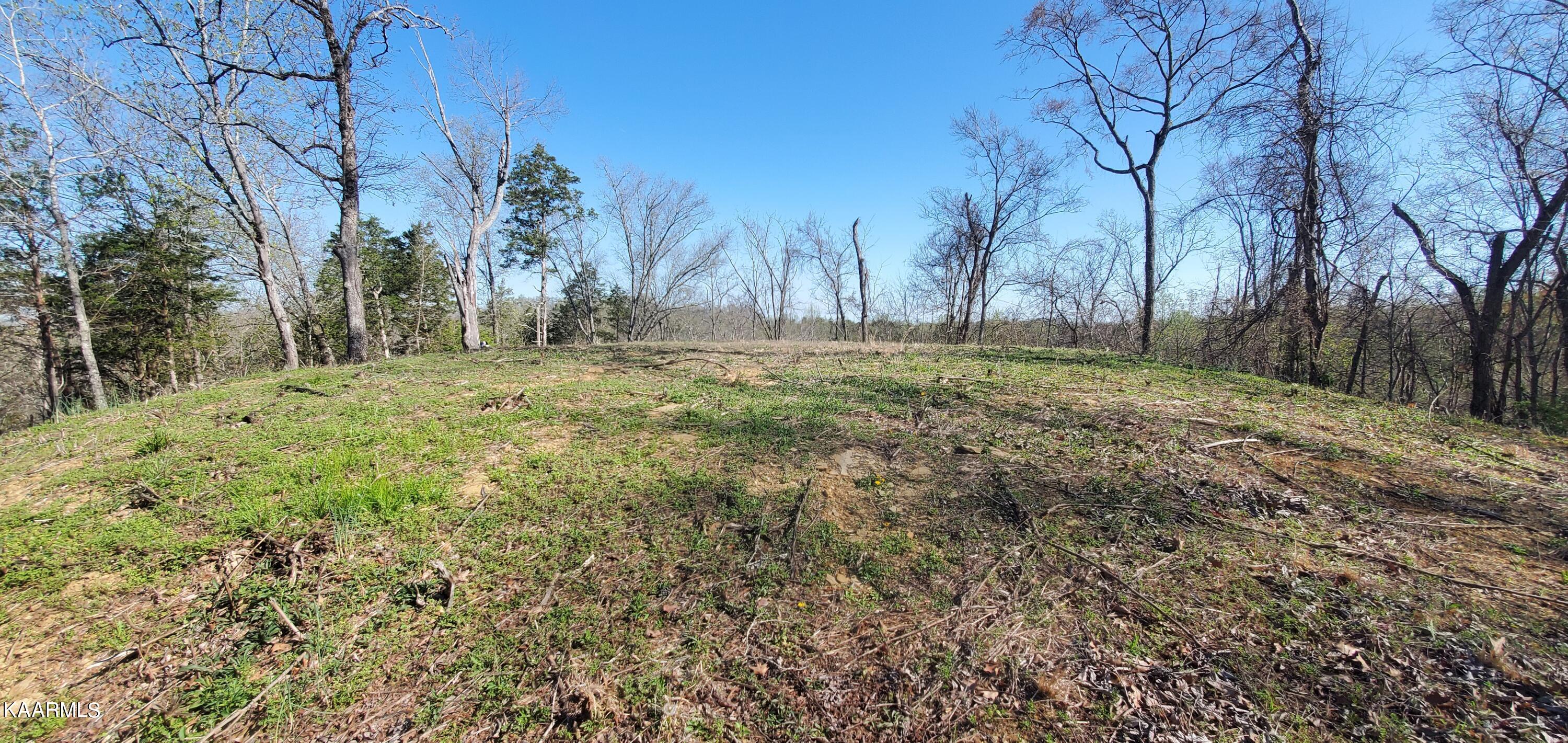 331 Chestnut Ridge Road Walland, TN 37886 - Photo 11 of 37 11 Look from rear across plateau level t