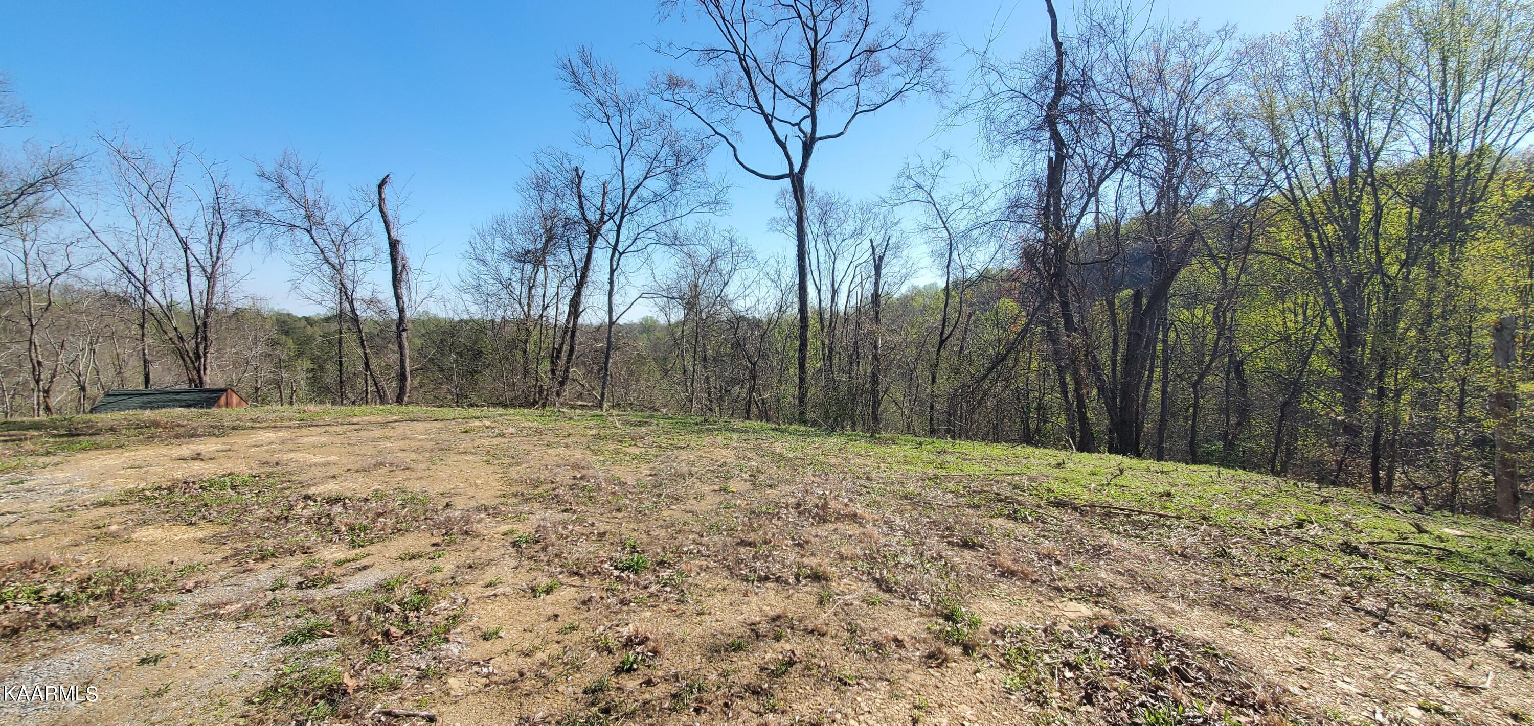 331 Chestnut Ridge Road Walland, TN 37886 - Photo 13 of 37 13 Level plateau build spot at top 2