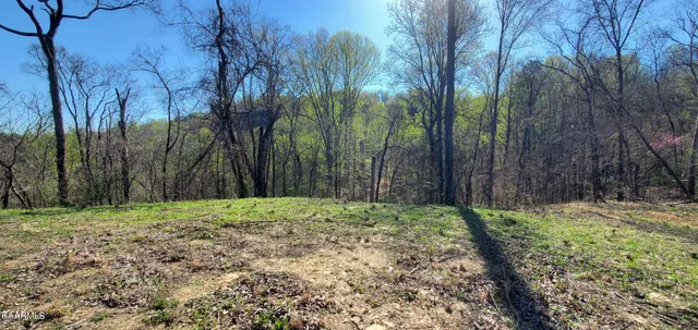 $129,900 | 331 Chestnut Ridge Road, Walland, TN 37886