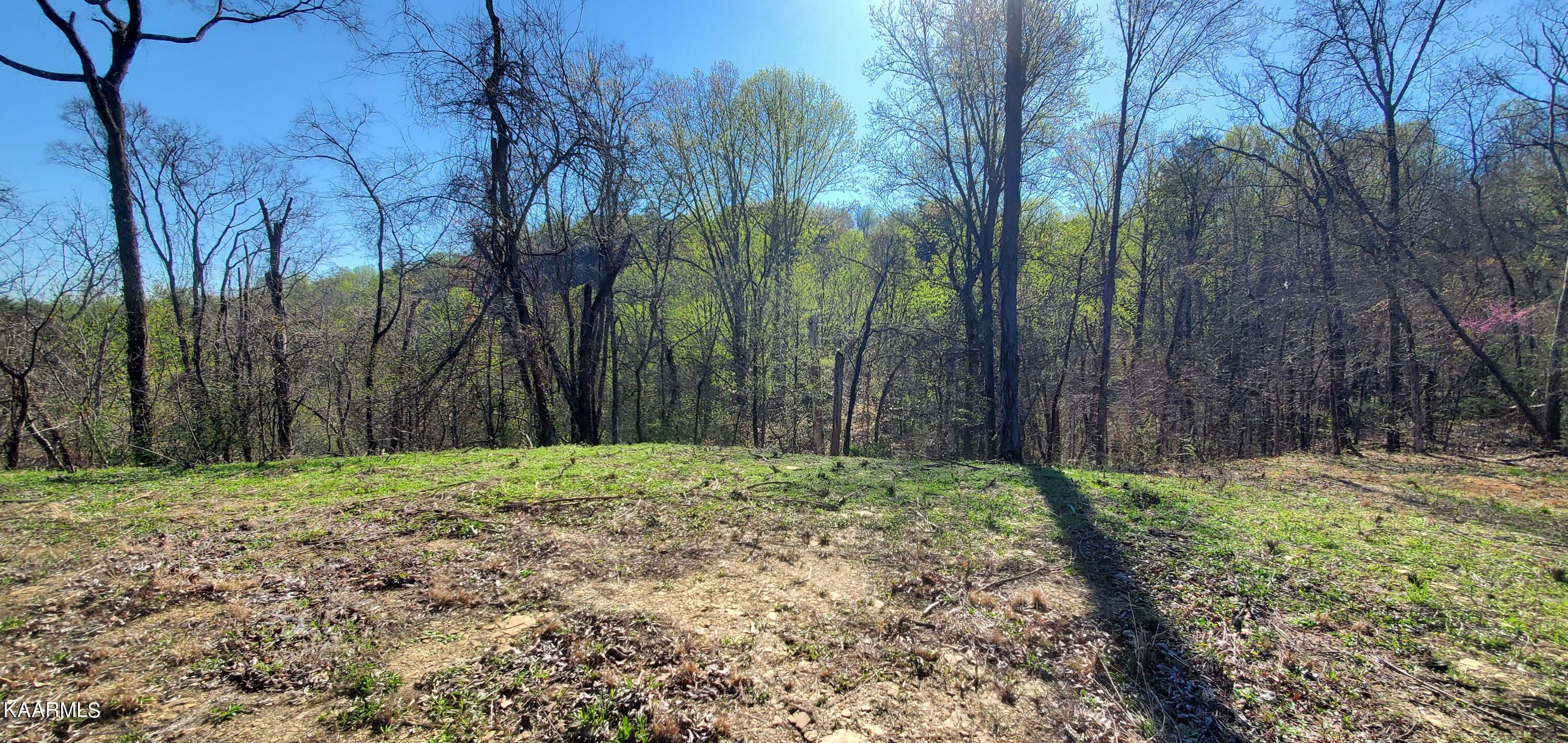 331 Chestnut Ridge Road Walland, TN 37886 - Photo 14 of 37 14 Level plateau build spot at top 3