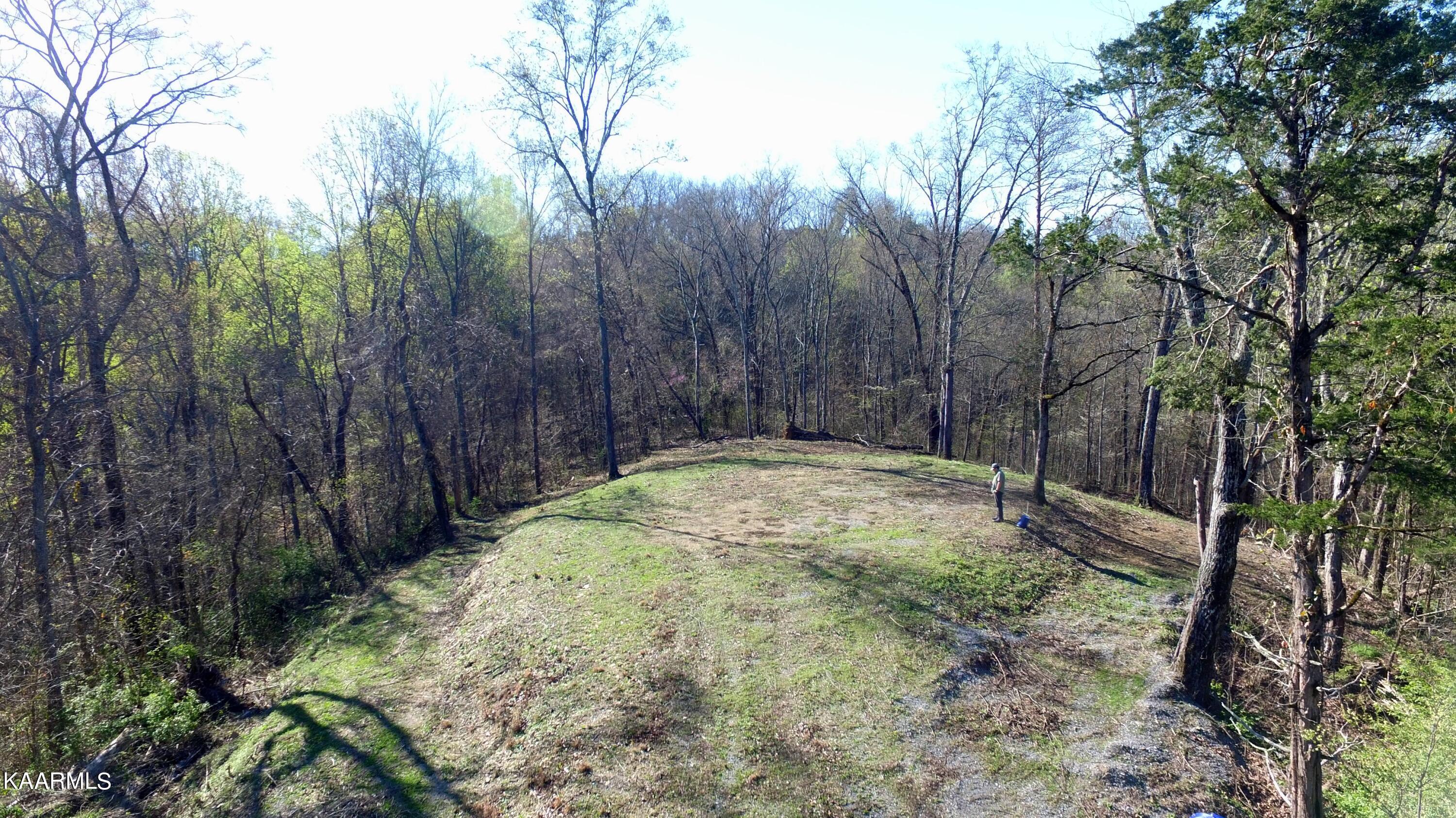 331 Chestnut Ridge Road Walland, TN 37886 - Photo 17 of 37 17 Lot Plateau at top 2