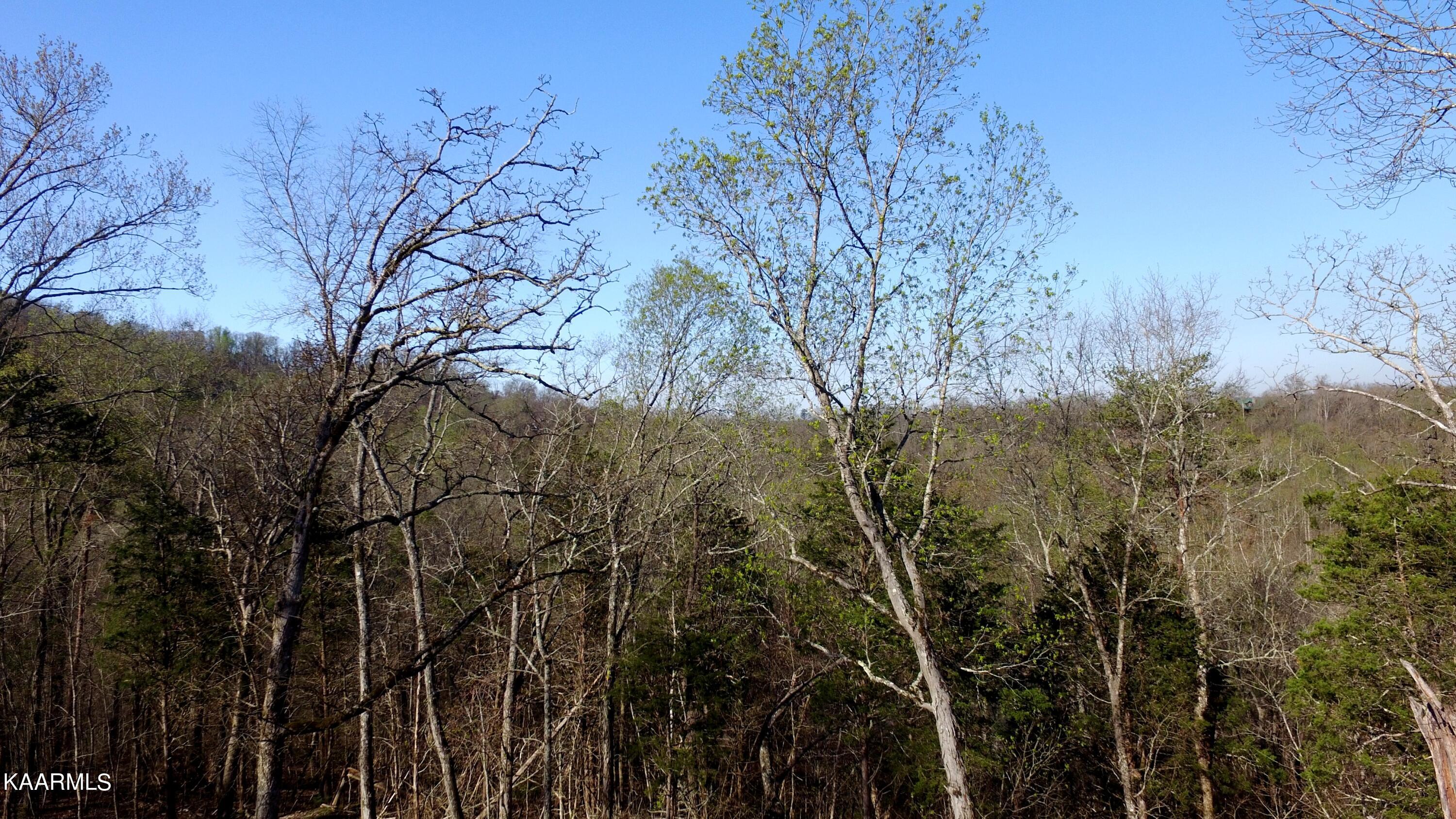 331 Chestnut Ridge Road Walland, TN 37886 - Photo 20 of 37 20 Pic 2 at 22 ft
