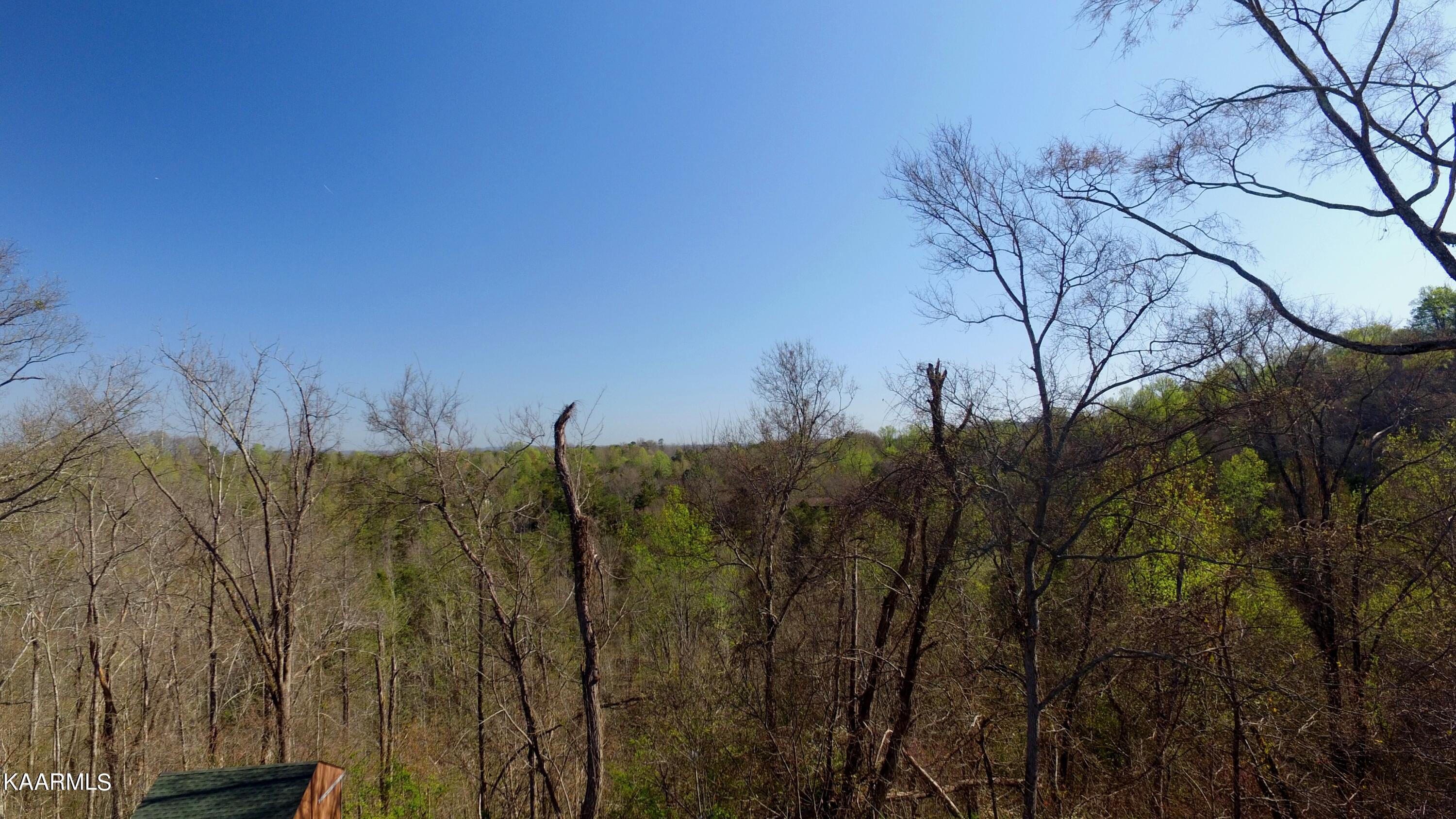 331 Chestnut Ridge Road Walland, TN 37886 - Photo 23 of 37 23 Pic 5 at 22 ft