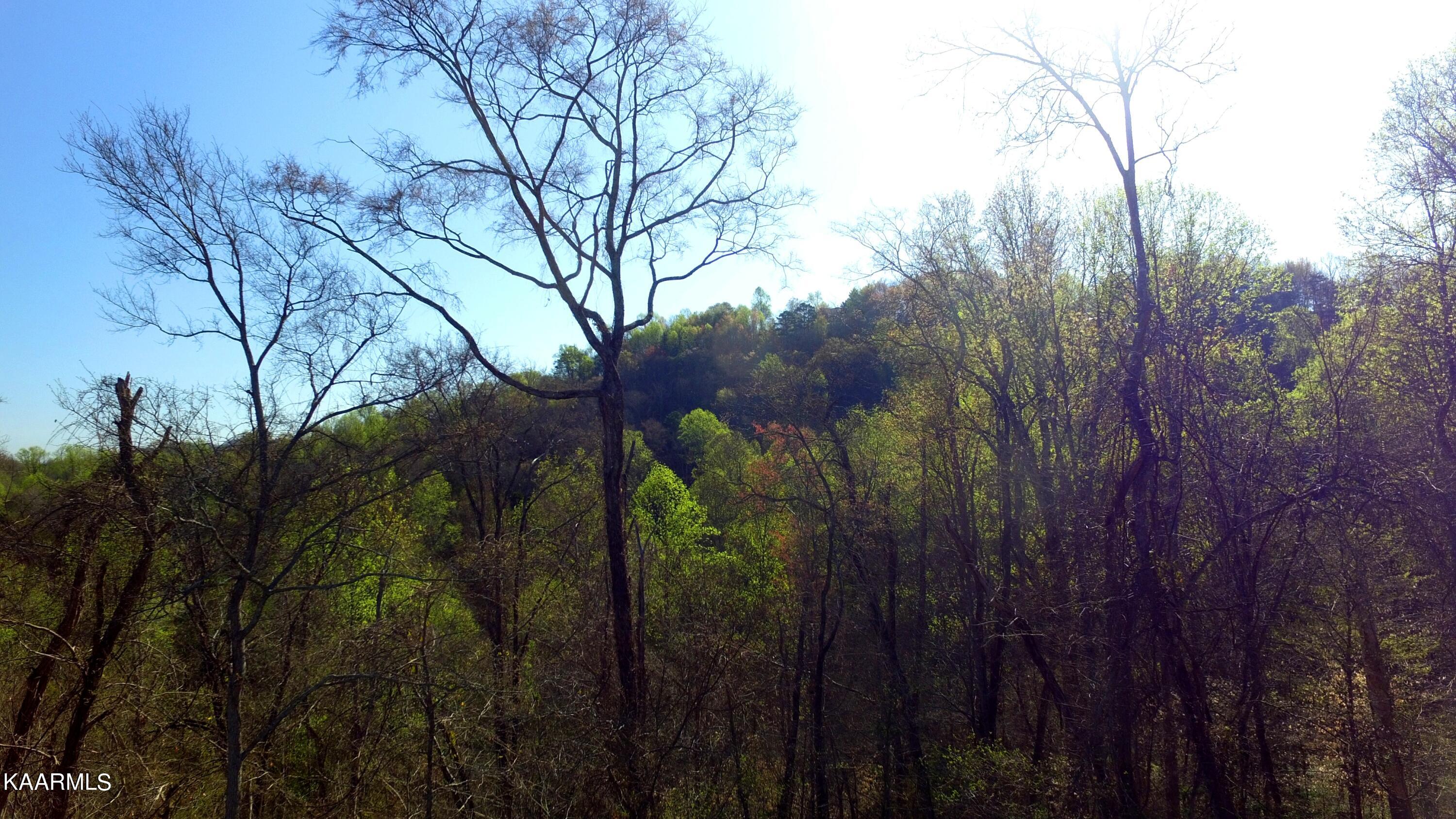 331 Chestnut Ridge Road Walland, TN 37886 - Photo 25 of 37 25 Pic 7 at 22 ft