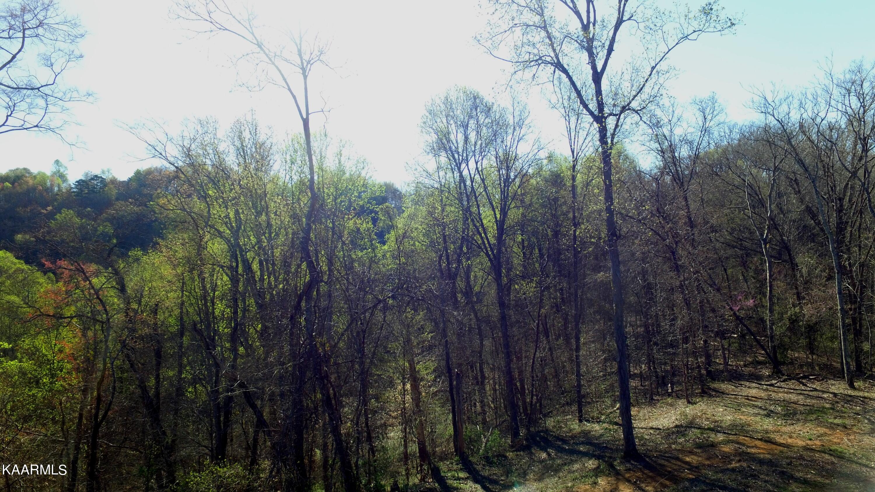 331 Chestnut Ridge Road Walland, TN 37886 - Photo 26 of 37 26 Pic 8 at 22 ft