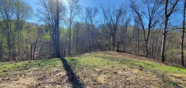 $129,900 | 331 Chestnut Ridge Road, Walland, TN 37886