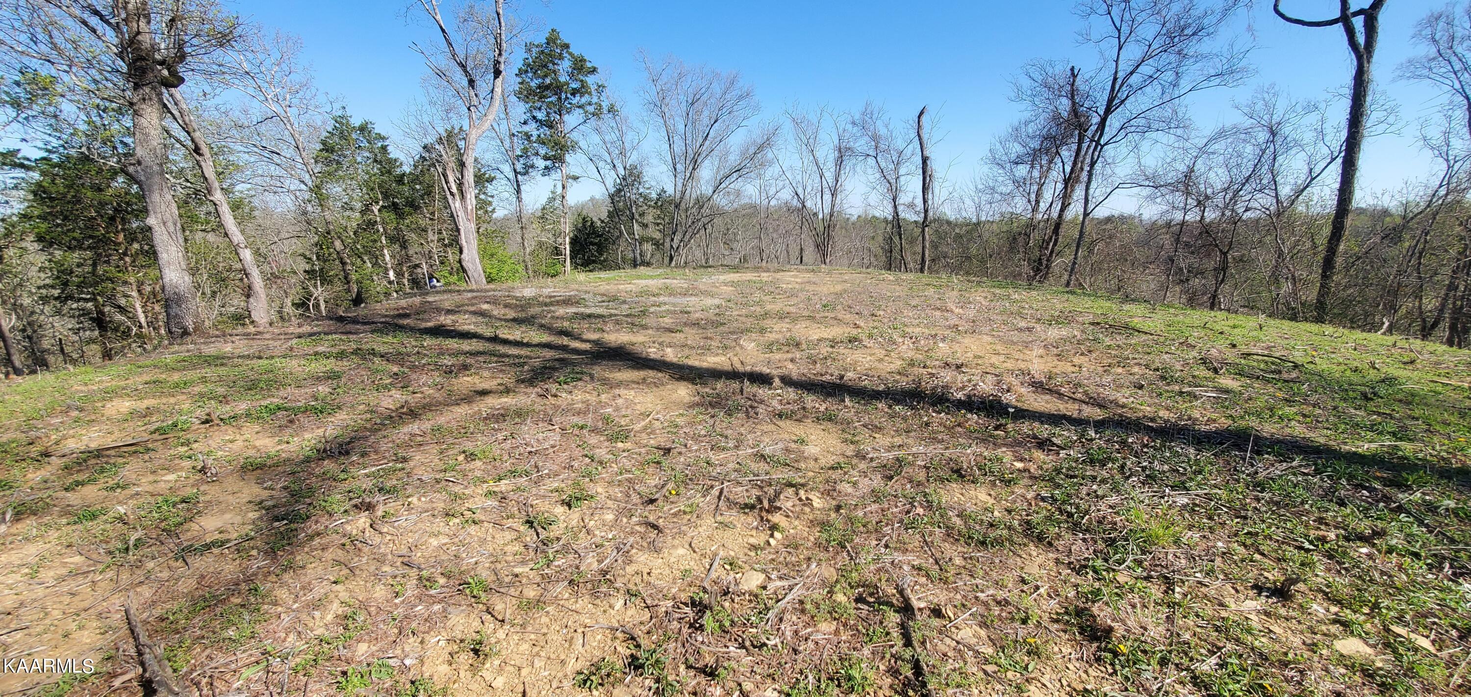 331 Chestnut Ridge Road Walland, TN 37886 - Photo 28 of 37 28 Plateau level build spot at top