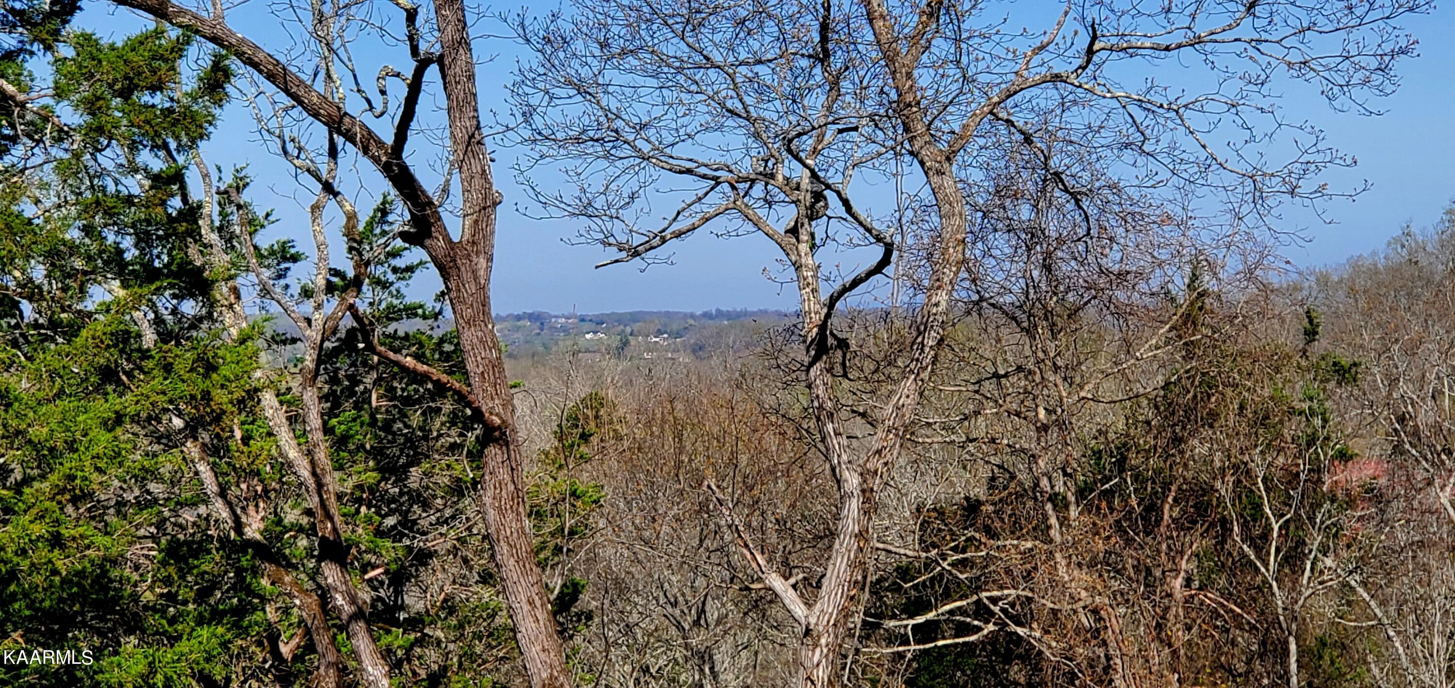 331 Chestnut Ridge Road Walland, TN 37886 - Photo 31 of 37 31 View Standing on Plateau build spot z