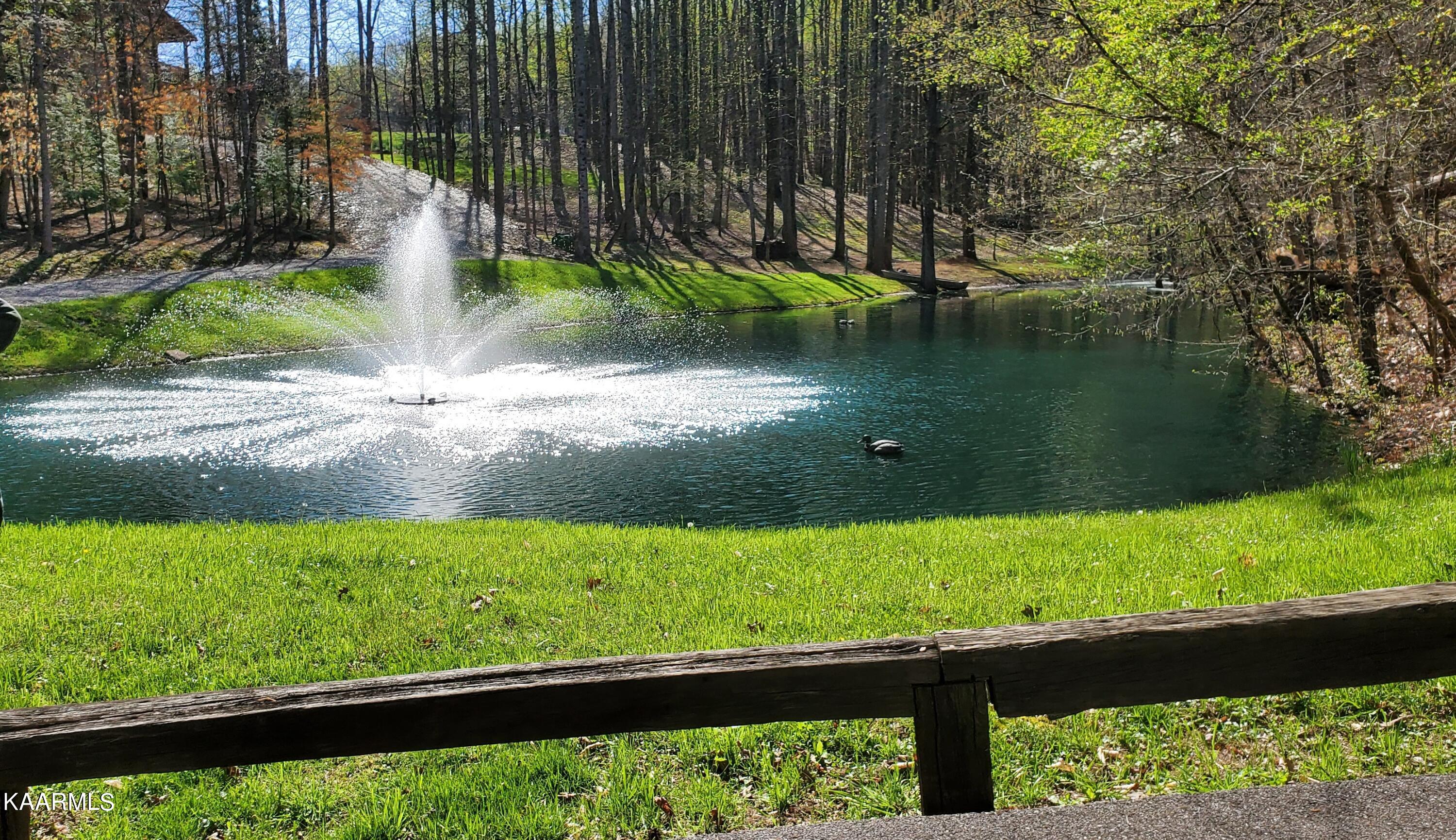 331 Chestnut Ridge Road Walland, TN 37886 - Photo 37 of 37 37 Pond at Chestnut Ridge