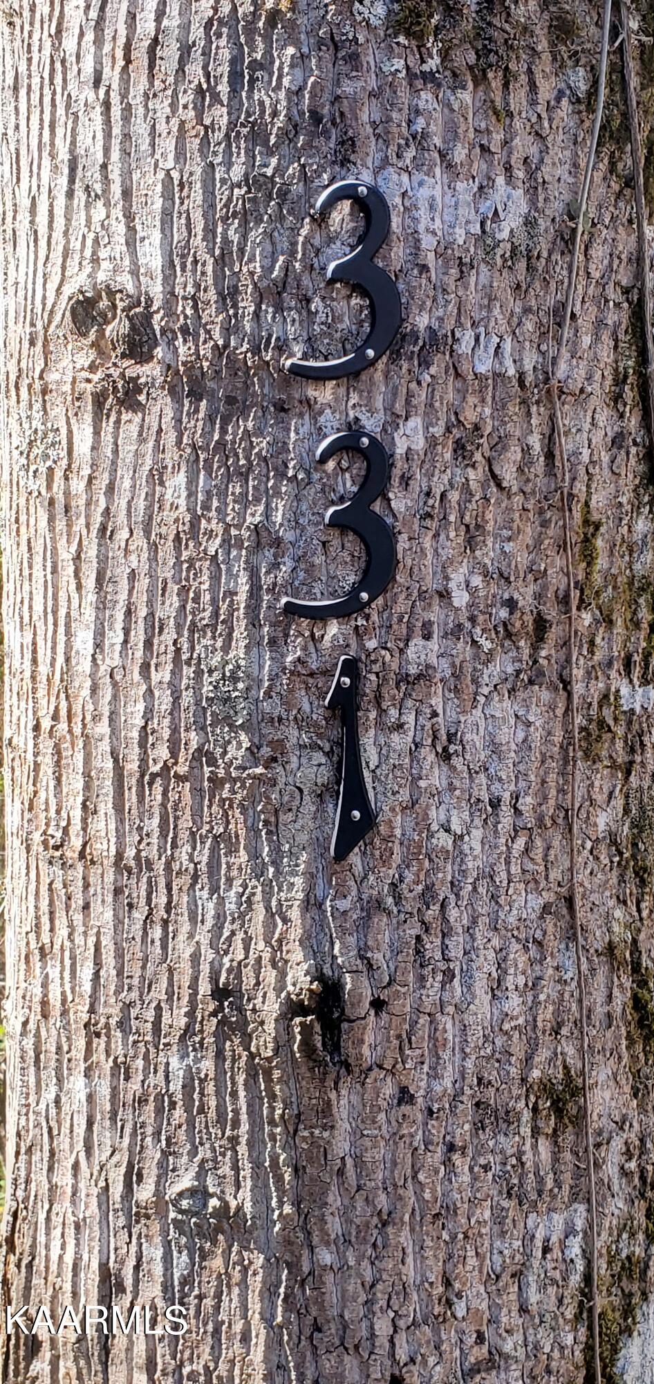 331 Chestnut Ridge Road Walland, TN 37886 - Photo 4 of 37 4 Address Tree 2