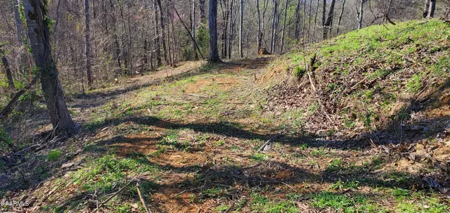 $129,900 | 331 Chestnut Ridge Road, Walland, TN 37886