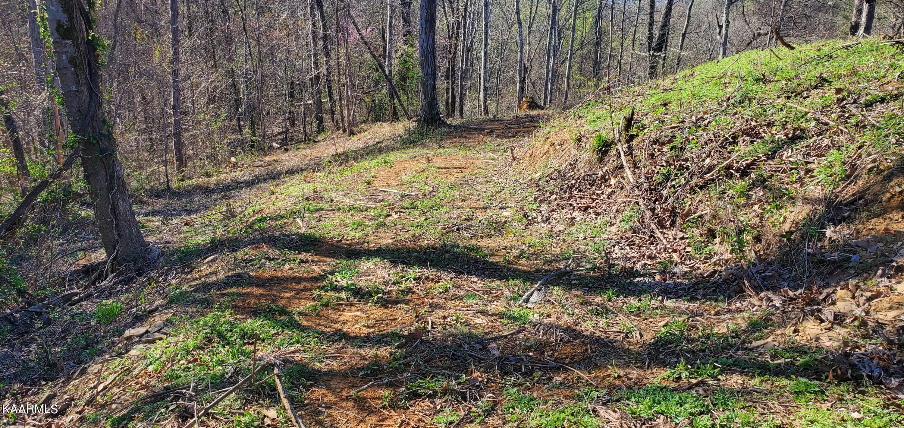 331 Chestnut Ridge Road Walland, TN 37886 - Photo 7 of 37 7 Driveway to left of lot plateau at top