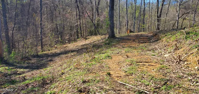 $129,900 | 331 Chestnut Ridge Road, Walland, TN 37886