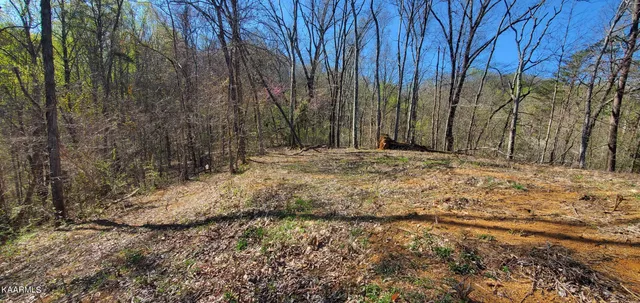 $129,900 | 331 Chestnut Ridge Road, Walland, TN 37886