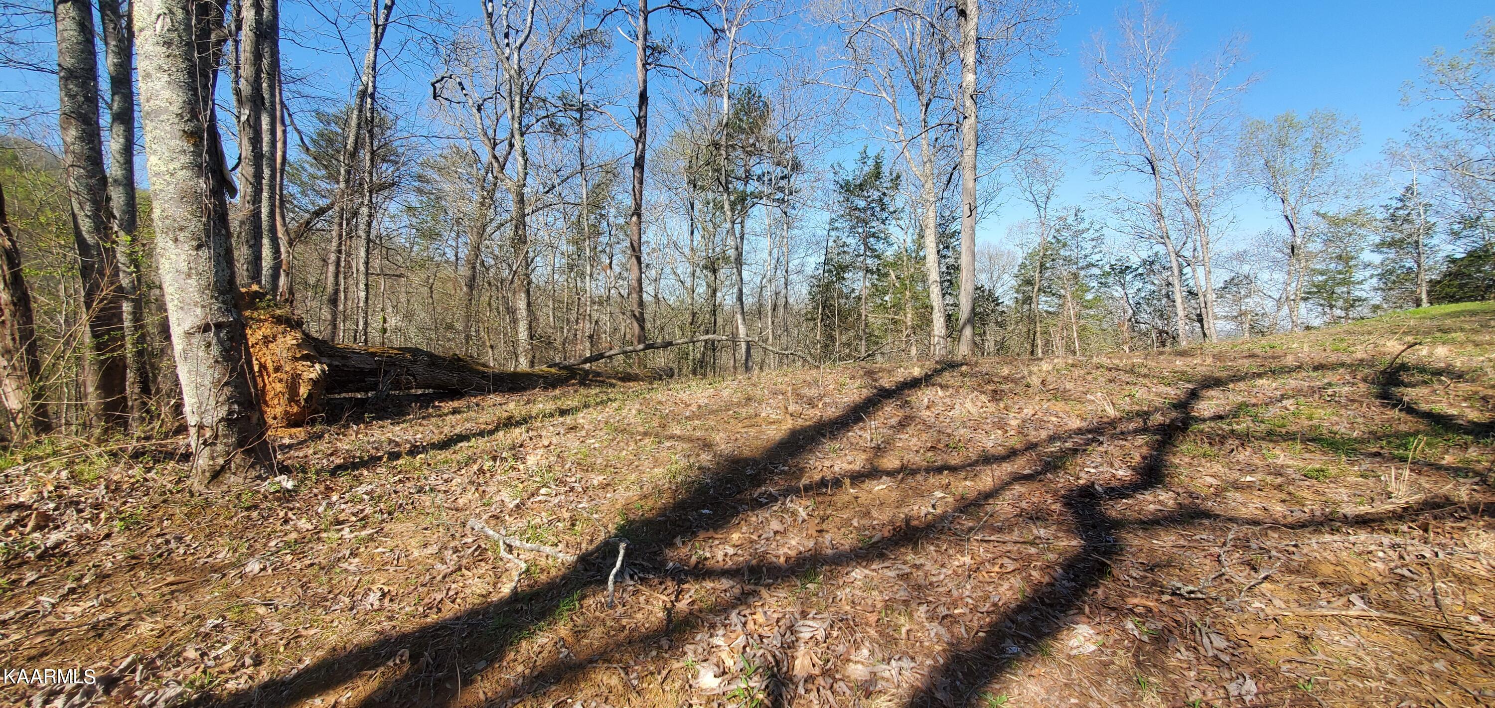 331 Chestnut Ridge Road Walland, TN 37886 - Photo 10 of 37 10 Rear end of rear of plateau at top