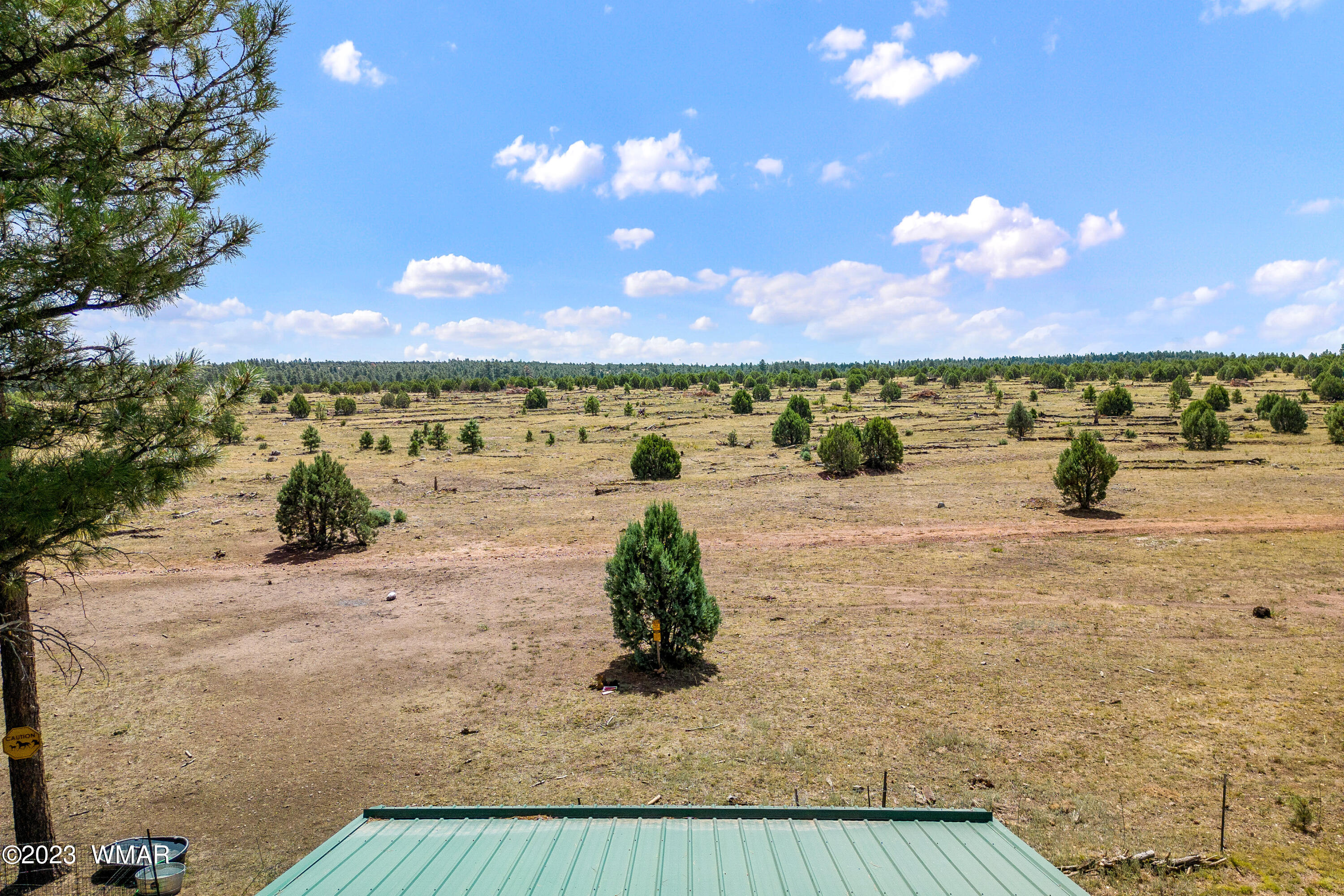 2725 High Pine Loop Overgaard, AZ 85933 - Photo 28 of 45 Gallery Image 28