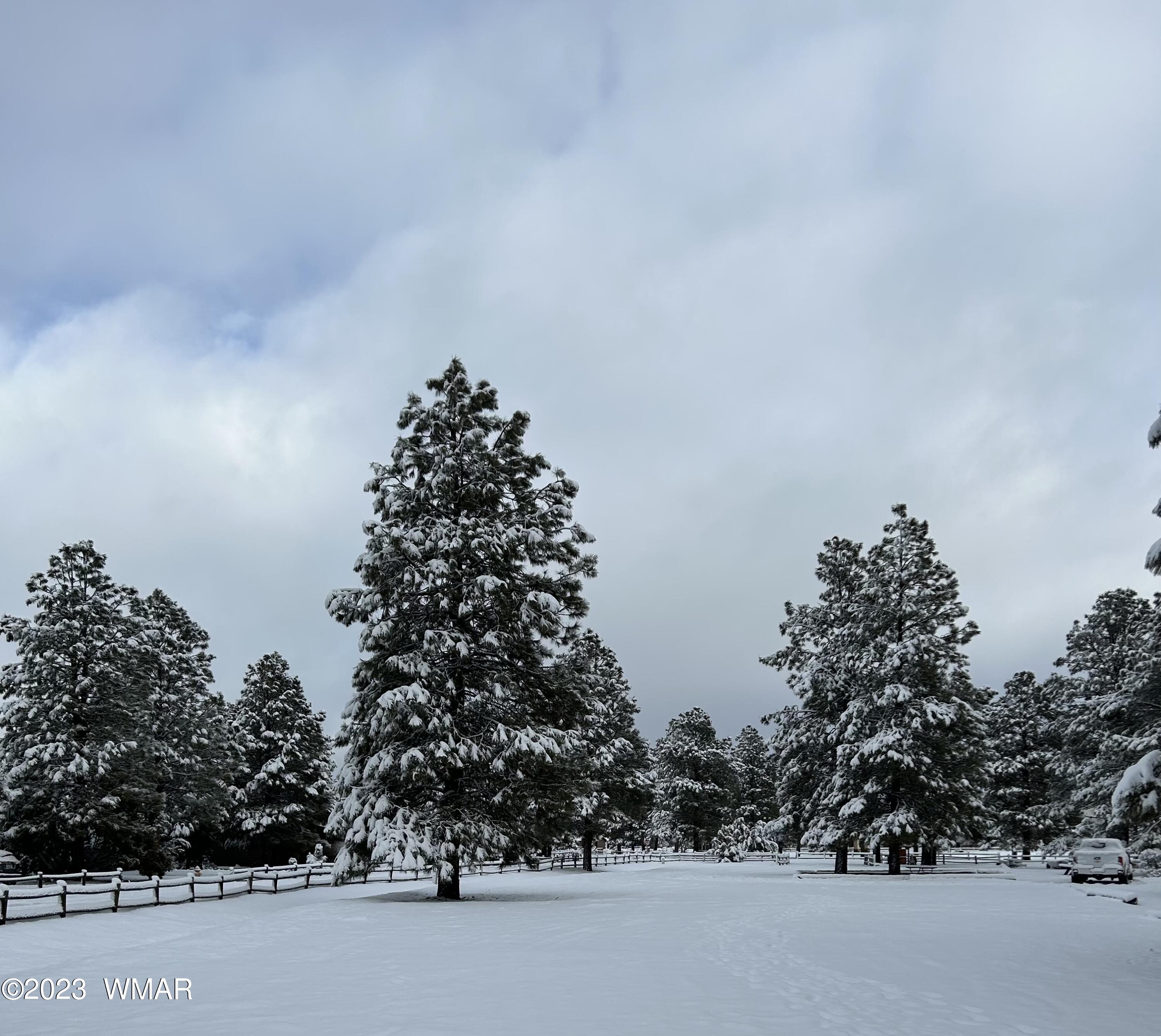 2725 High Pine Loop Overgaard, AZ 85933 - Photo 33 of 45 Gallery Image 33