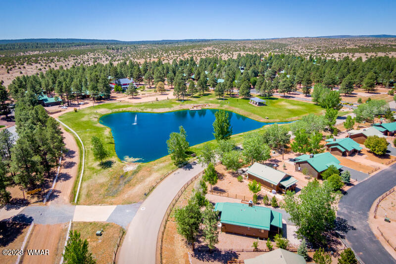 2725 High Pine Loop Overgaard, AZ 85933 - Photo 45 of 45 Gallery Image 45