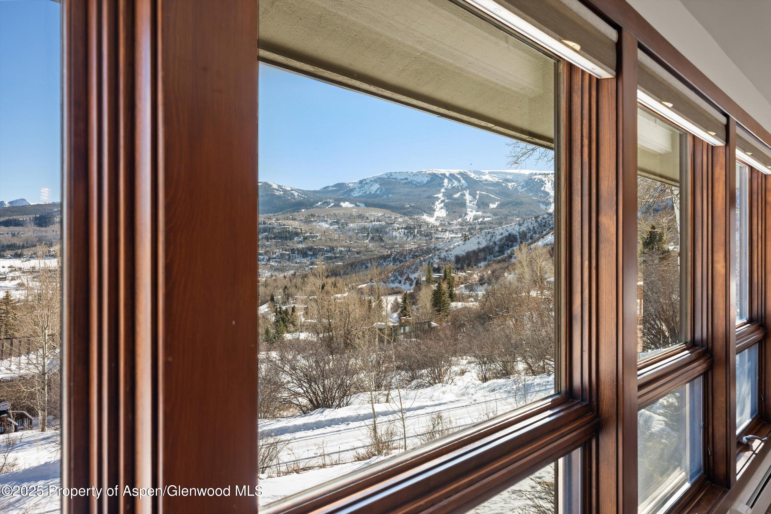 516 Sinclair Road Snowmass Village, CO 81615 - Photo 12 of 37 a view of a window