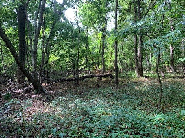D Cheriton Cross Road, Unit D Cape Charles, VA 23310 - Photo 22 of 37