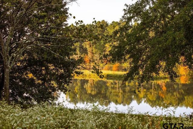 a view of lake from yard