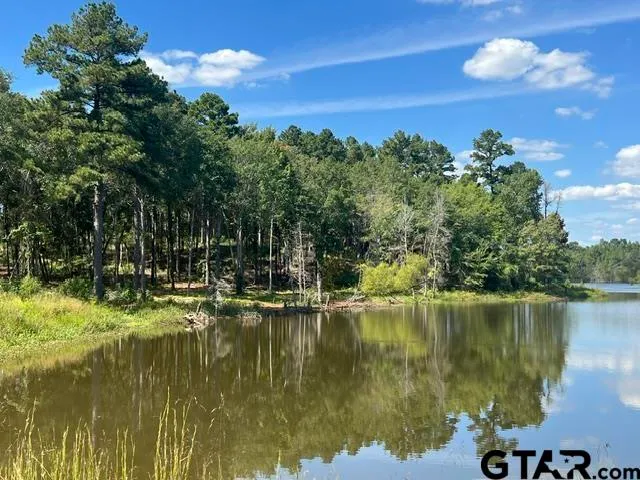 a view of a lake with a mountain in the background