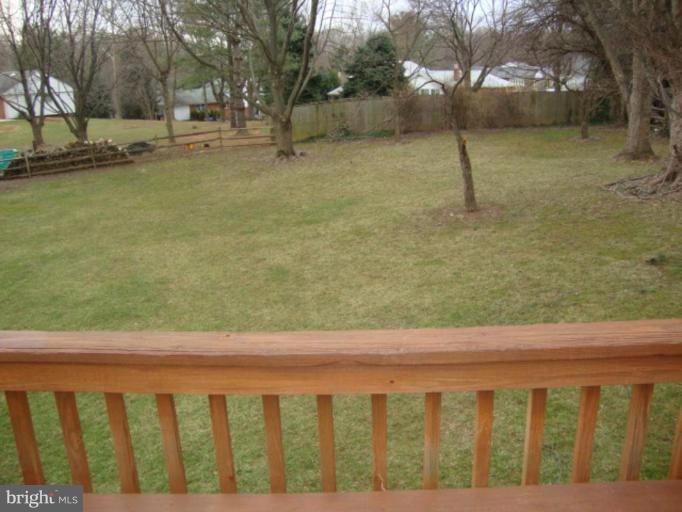 Deck - View from