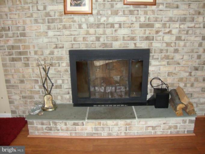 3608 Falling Green Road Olney, MD 20832 - Photo 24 of 30 Fireplace