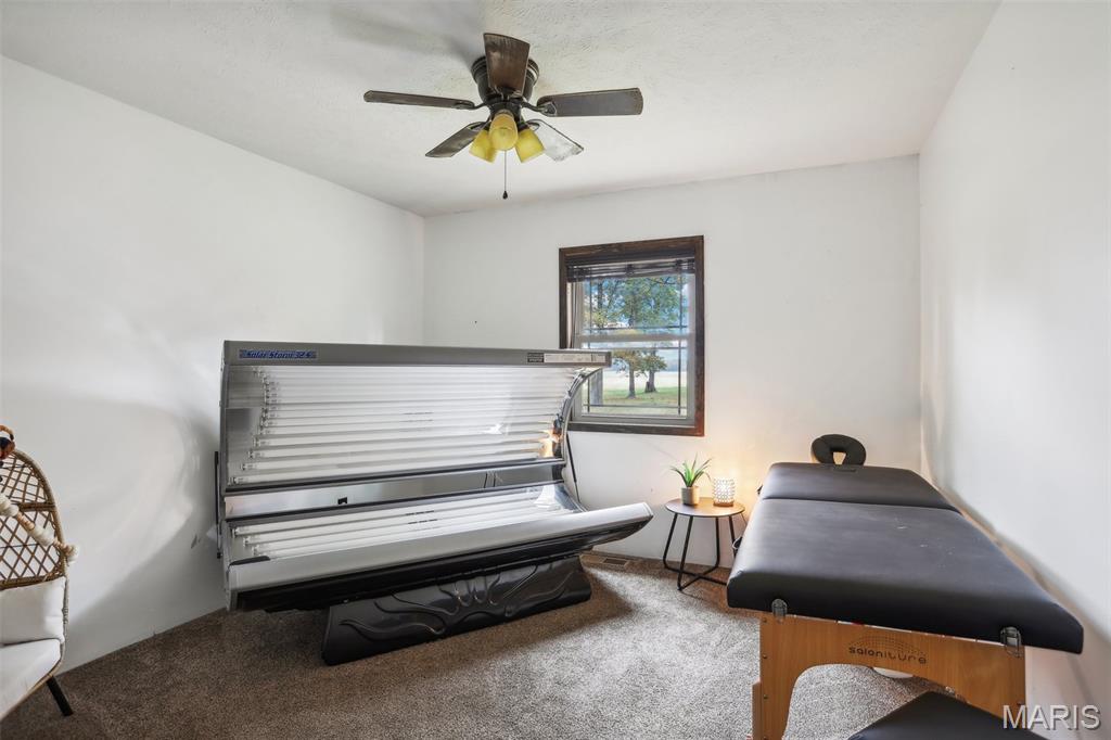 688 Donnell Avenue Donnellson, IL 62019 - Photo 19 of 35