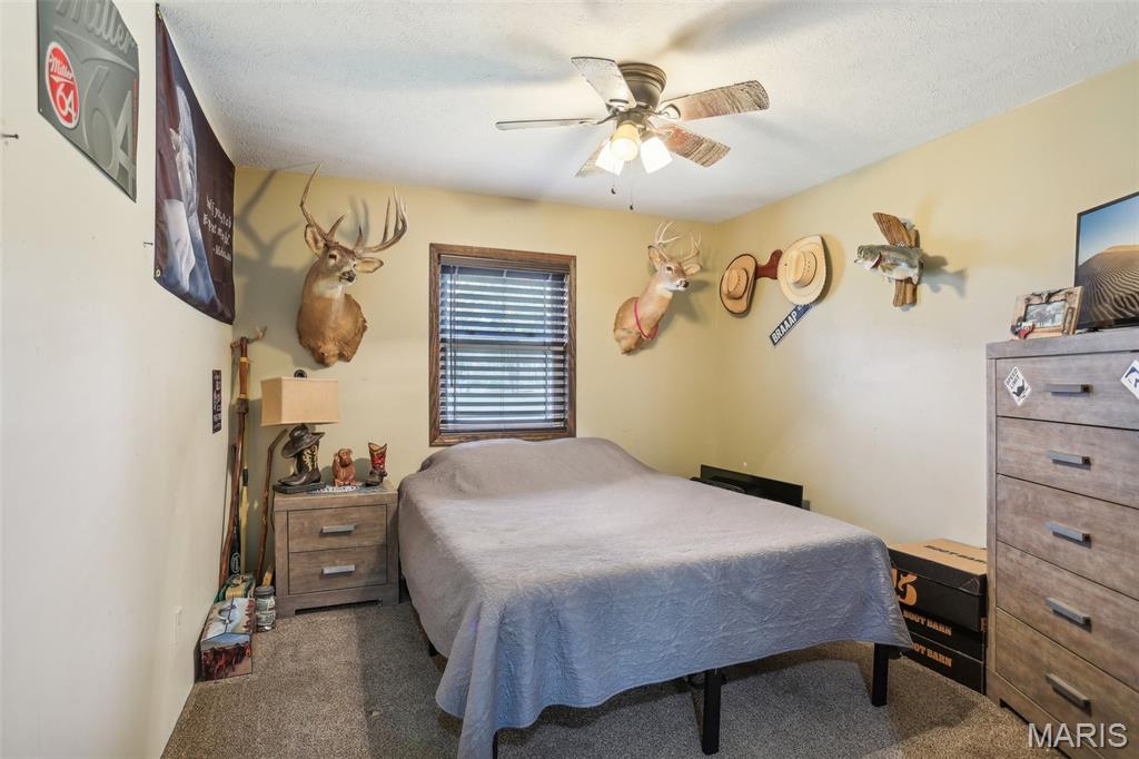 688 Donnell Avenue Donnellson, IL 62019 - Photo 21 of 35