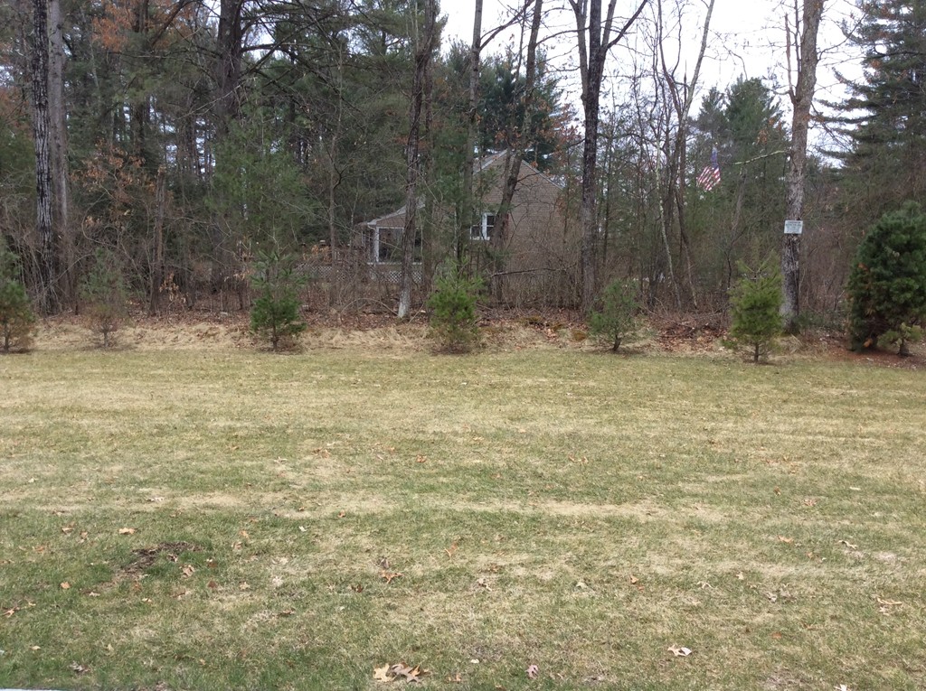 25 Tall Pines Road, Unit 25 Hampden, MA 01036 - Photo 19 of 23 Gallery Image 19