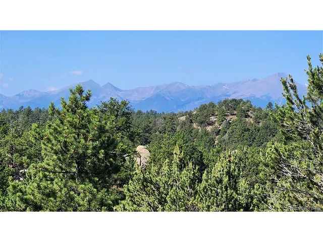 a open area with a yard in back