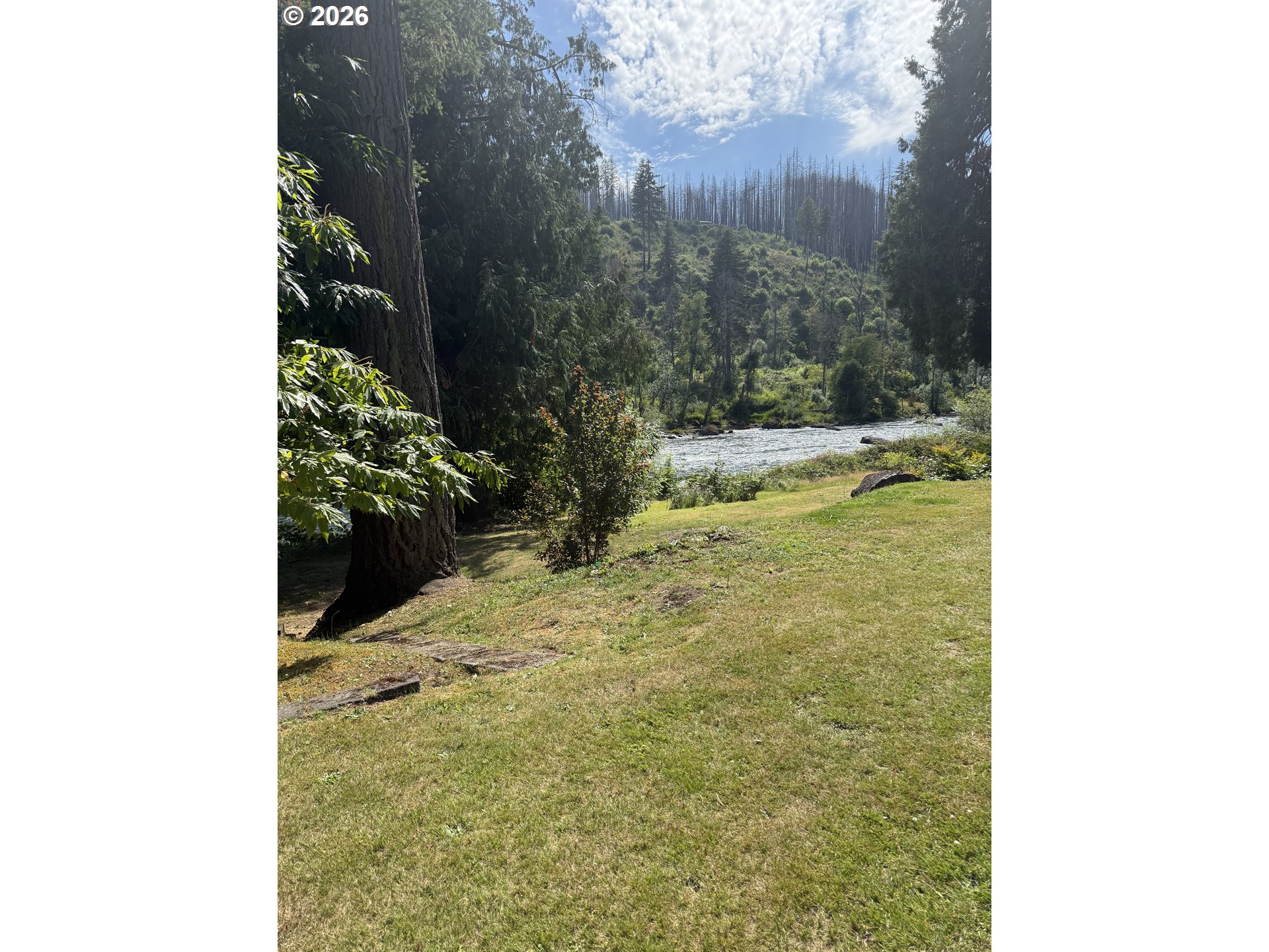 90357 Thomson Lane Vida, OR 97488 - Photo 3 of 3