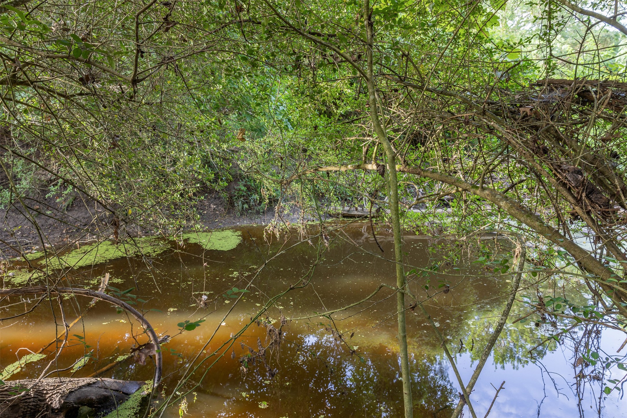 2839 Schoenst Road Carmine, TX 78932 - Photo 13 of 34