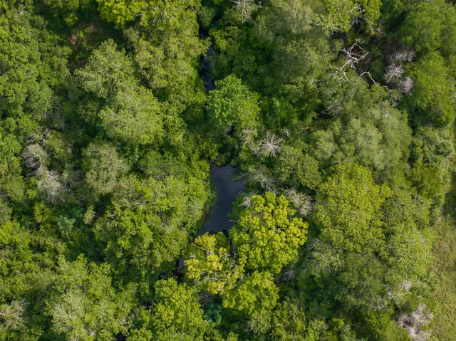 $1,170,000 | 2839 Schoenst Road, Carmine, TX 78932