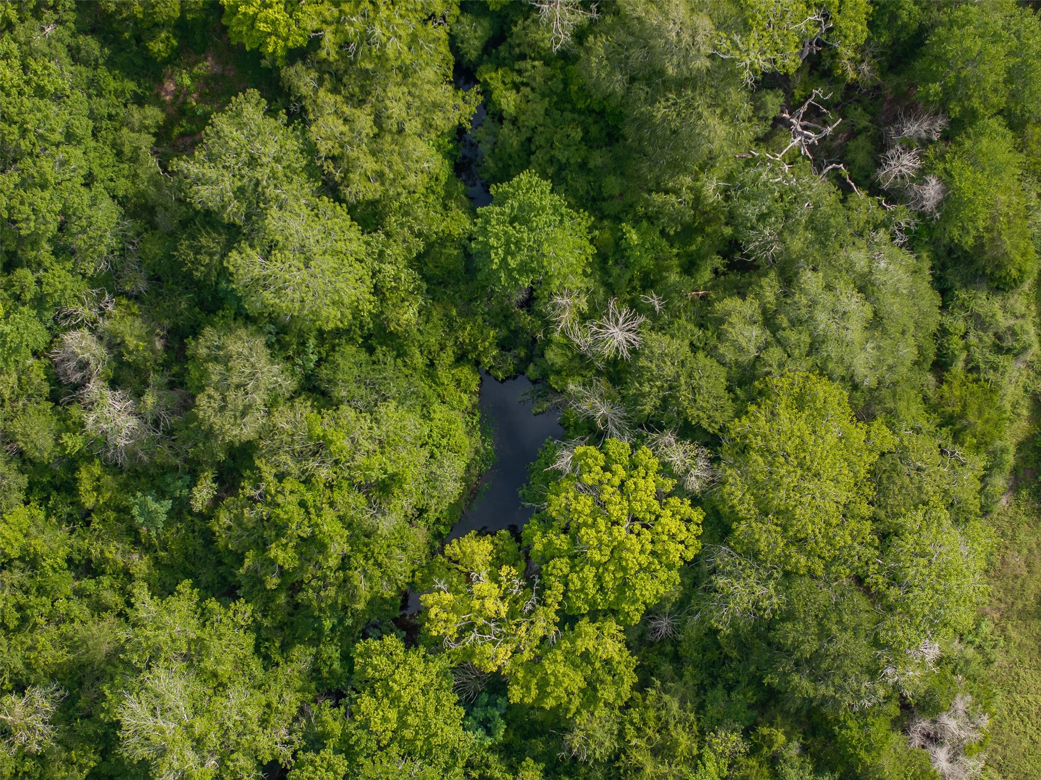 2839 Schoenst Road Carmine, TX 78932 - Photo 25 of 34