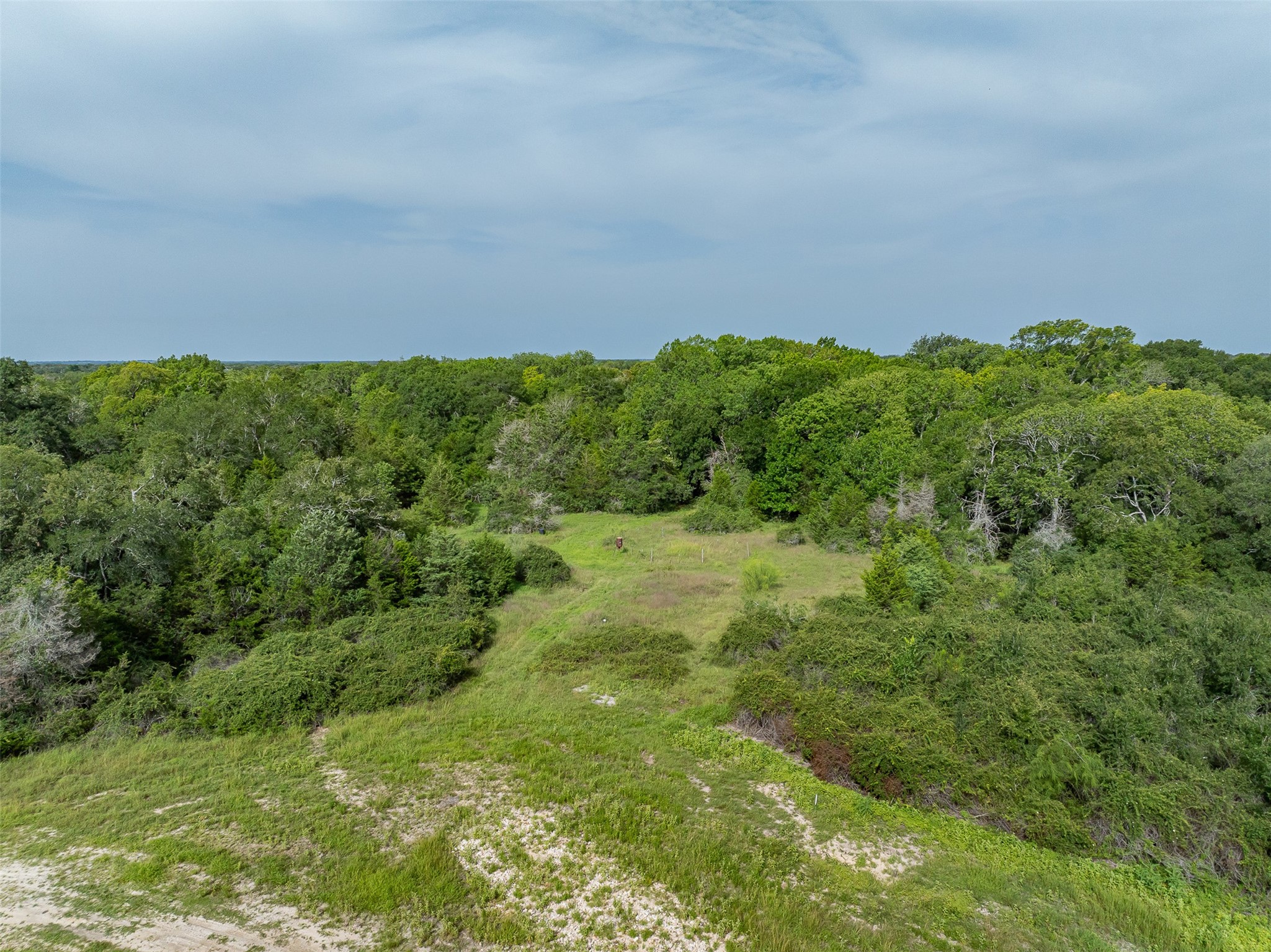 2839 Schoenst Road Carmine, TX 78932 - Photo 28 of 34
