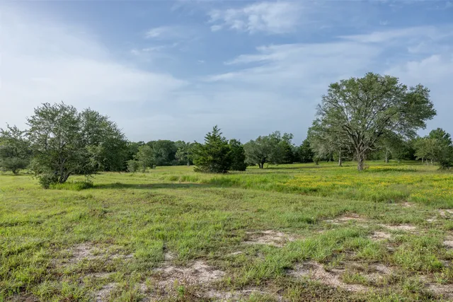 $1,170,000 | 2839 Schoenst Road, Carmine, TX 78932