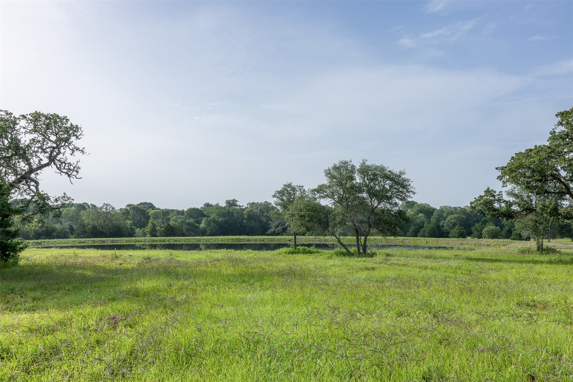 2839 Schoenst Road Carmine, TX 78932 - Photo 4 of 34
