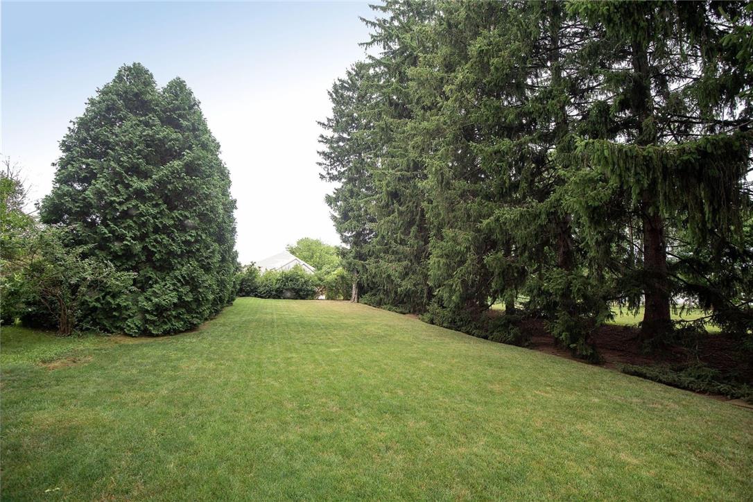 706 Stones Crossing Road Easton, PA 18045 - Photo 37 of 40 A deep, verdant yard, framed by majestic evergreen trees, offers secluded outdoor living.