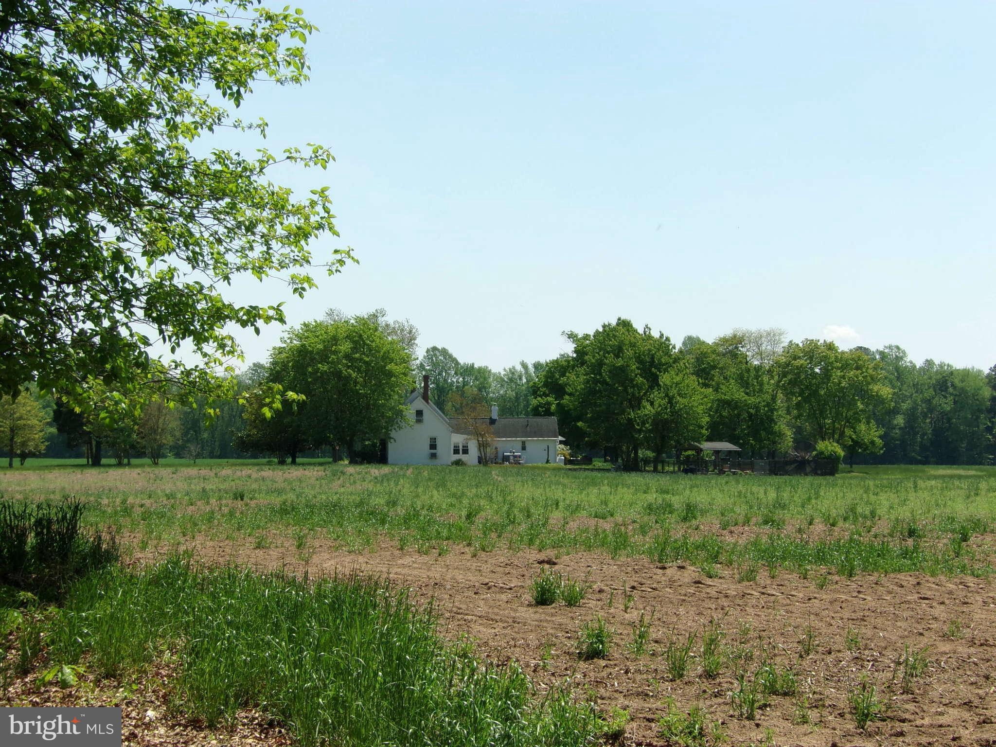 Towers Road Denton, MD 21629 - Photo 5 of 6 a view of a field with trees in background