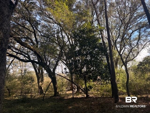 0 Krehling Lane Elberta, AL 36530 - Photo 1 of 10 View of undeveloped land