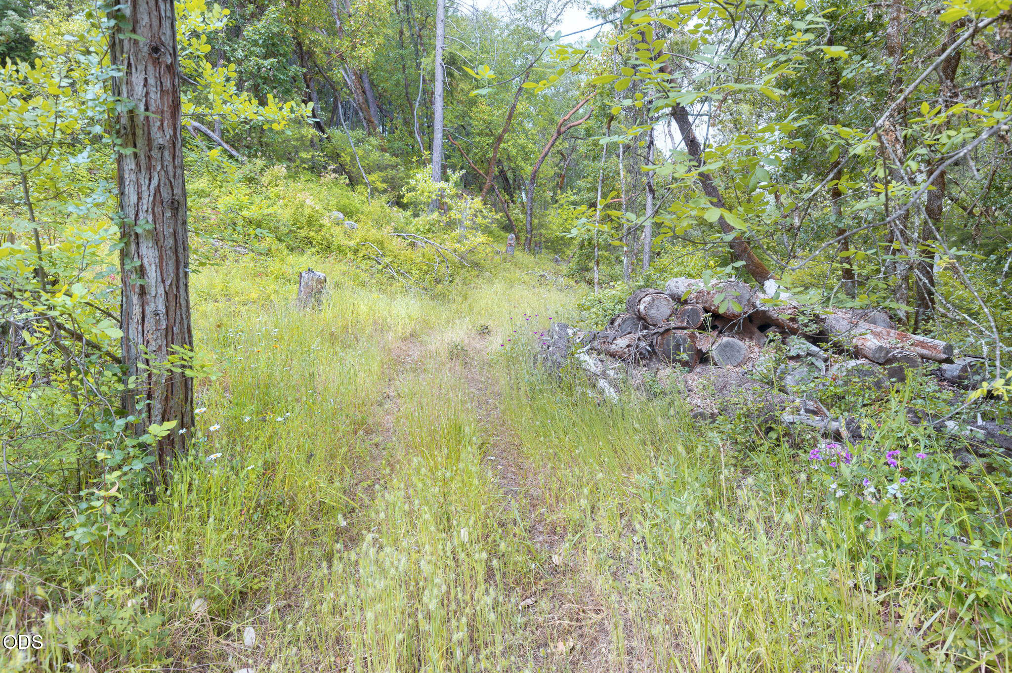 161 Soldier Creek Road Grants Pass, OR 97526 - Photo 63 of 68