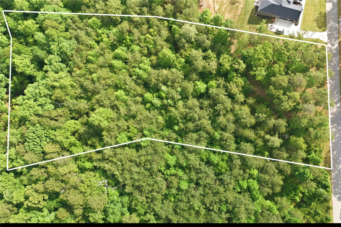 Lot 108 Harbor Ridge Road Seneca, SC 29672 - Photo 3 of 13 This verdant expanse offers a serene, wooded canvas for your future dreams.